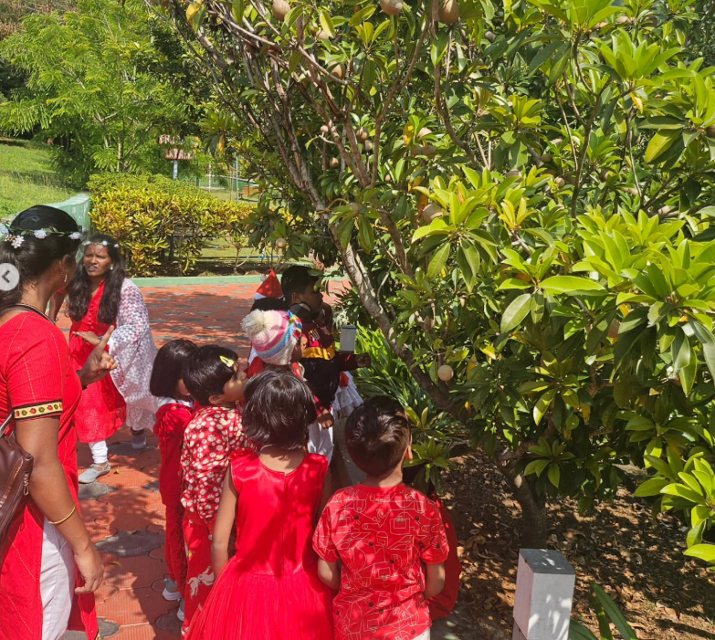 Outdoor play